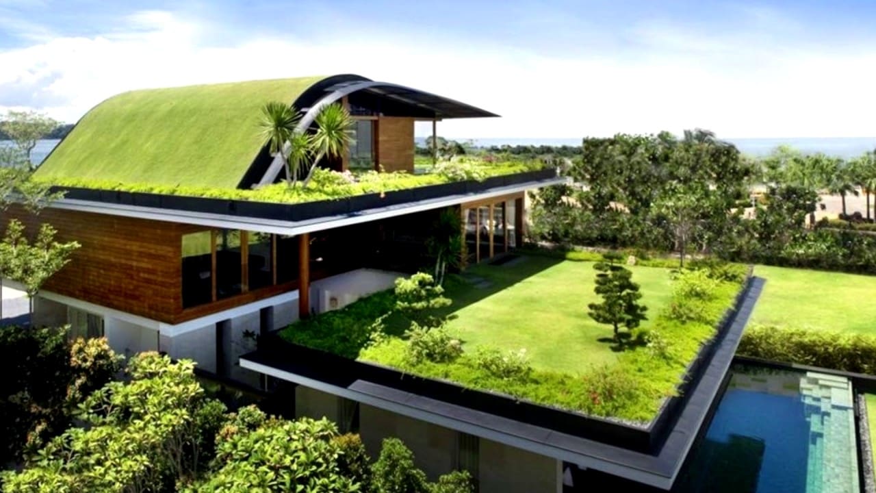 Green Plant Roofing | Palmettos Roofers
