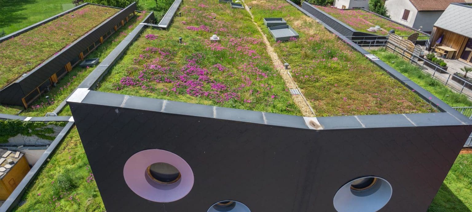 Green Plant Roofing Palmettos Roofers