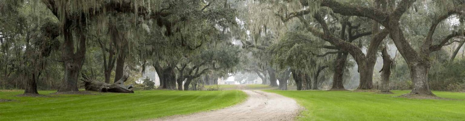 Sumter, SC landscape